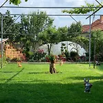 в с. габарево, долината на розите. *