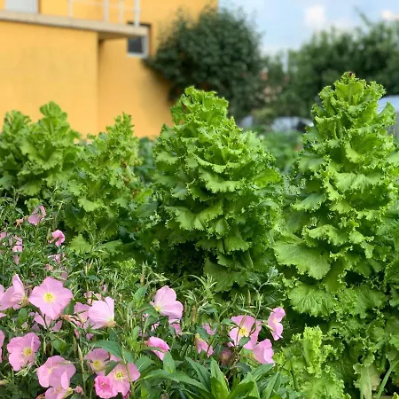 в с. габарево, долината на розите. Вилла