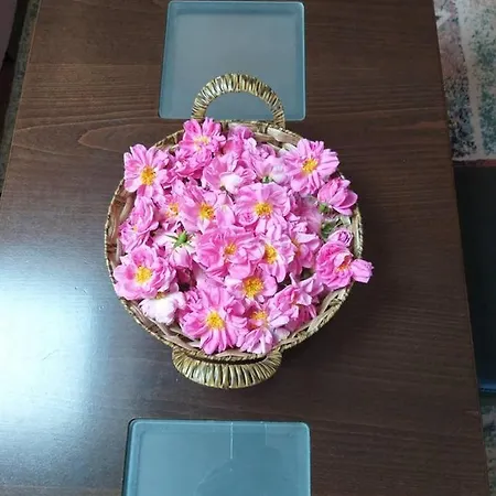 в с. габарево, долината на розите. Вилла Gabarevo