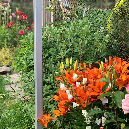 Villa в с. габарево, долината на розите.