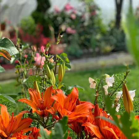 в с. габарево, долината на розите. Villa Gabarevo