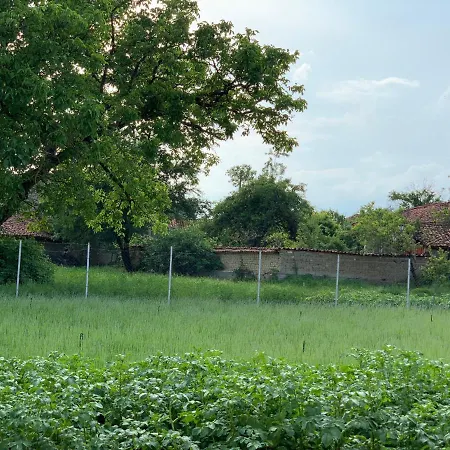 в с. габарево, долината на розите.