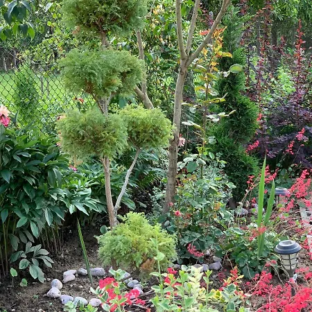 в с. габарево, долината на розите. * Gabarevo