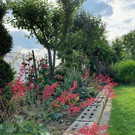 в с. габарево, долината на розите. *